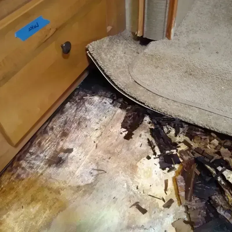 Best Wood Floor Water Damage Service in University Park, FL